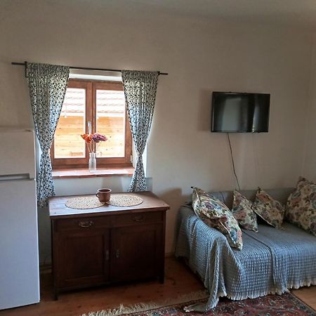 Apartman Mala Turna Strakonice Exteriér fotografie